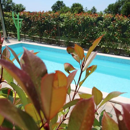 Apartments Green Garden Labinci Zewnętrze zdjęcie
