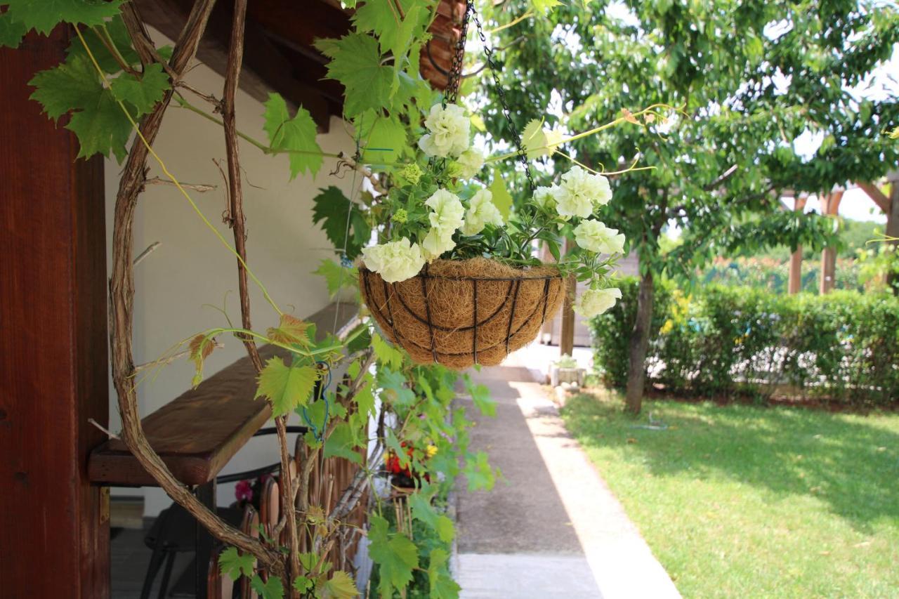 Apartments Green Garden Labinci Zewnętrze zdjęcie